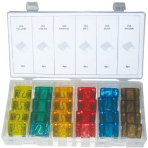 CAJA DE 40 FUSIBLES GRANDES
